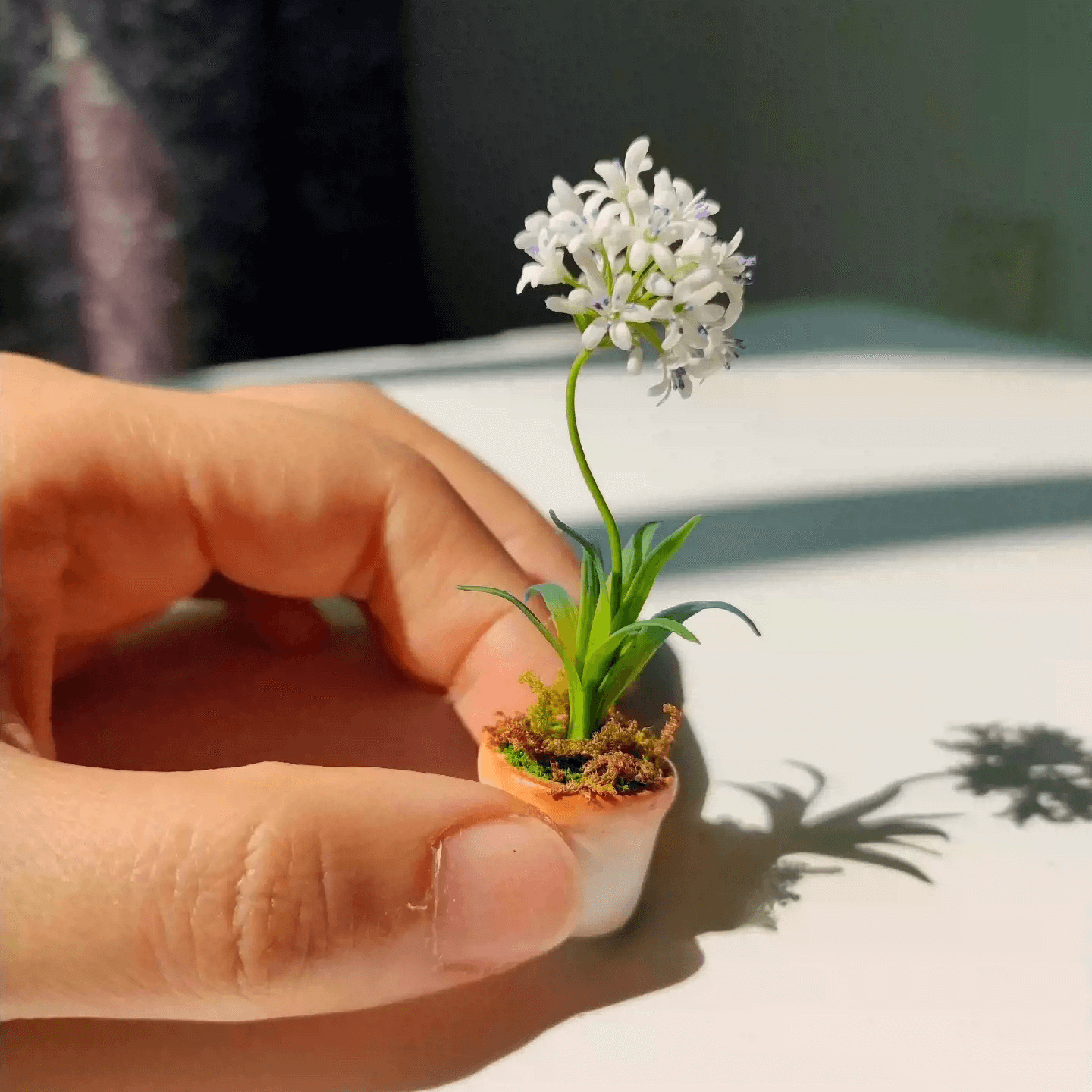 Agapanthus, also called Lily of the Nile or African Lily, are tough, heat and drought tolerant perennials.  Material: Handmade from Clay