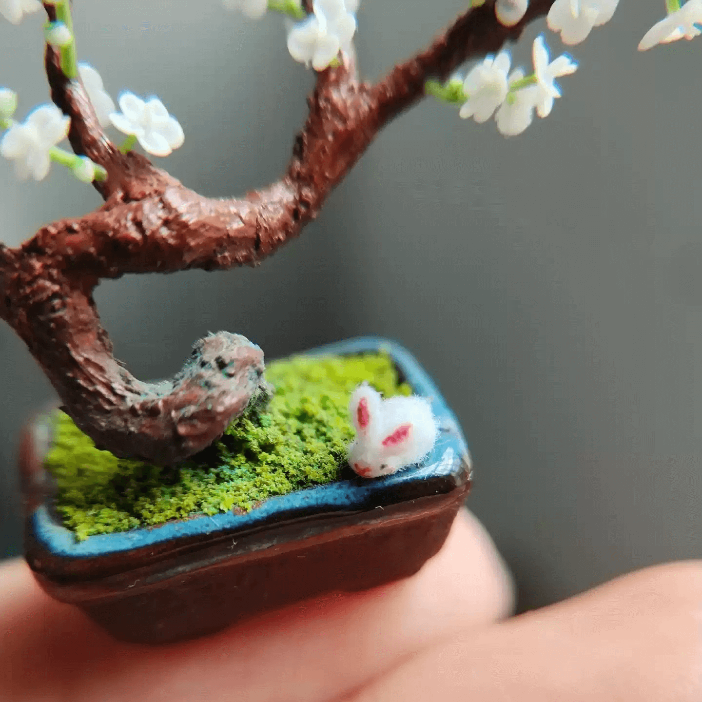 Prunus mume is an East Asian and Southeast Asian tree species classified in the "Armeniaca" section of the genus "Prunus" subgenus "Prunus". Material: Handmade from Clay