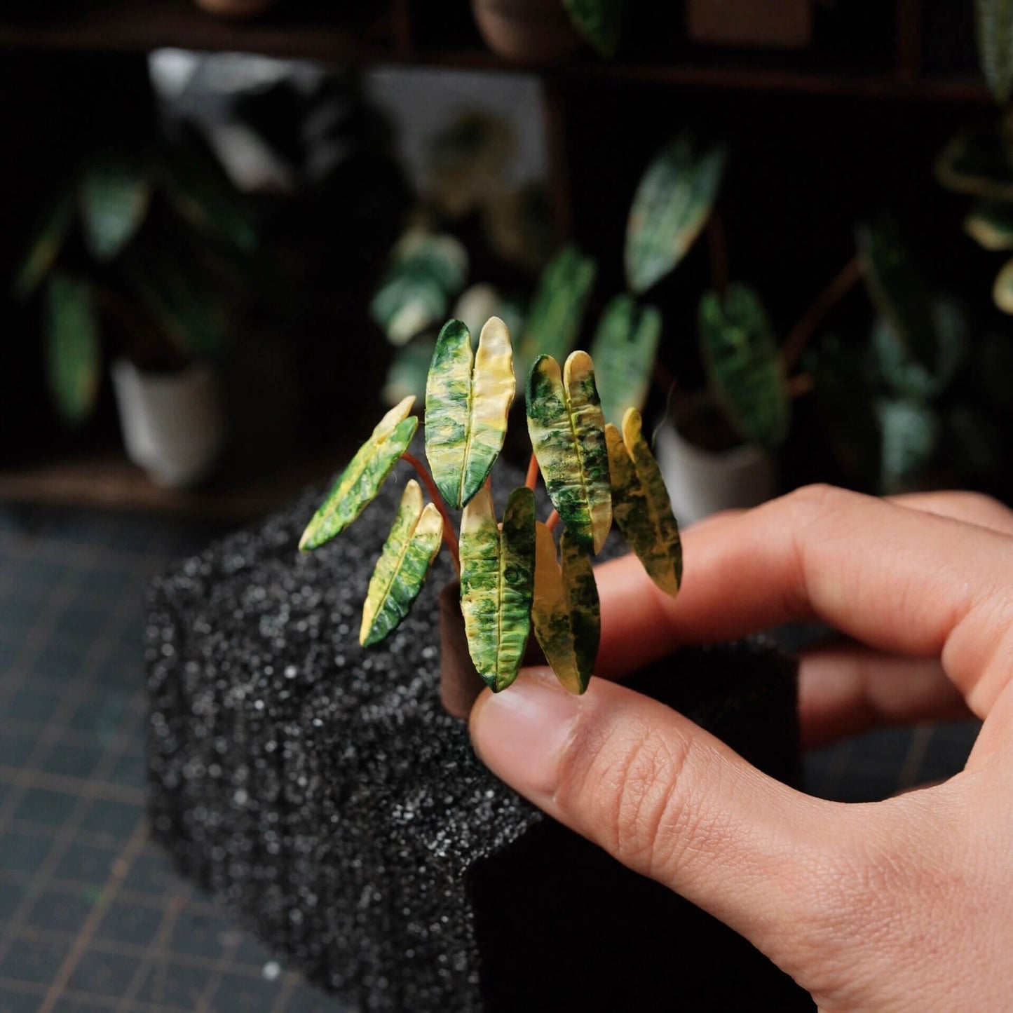 Philodendron Billietiae Variegated is a stunning variety of the popular tropical plant known for its vibrant, variegated leaves. Scale: 1:6; 1:12 Material: Handmade from Clay Height: 4-6cm≈1.58-2.36in