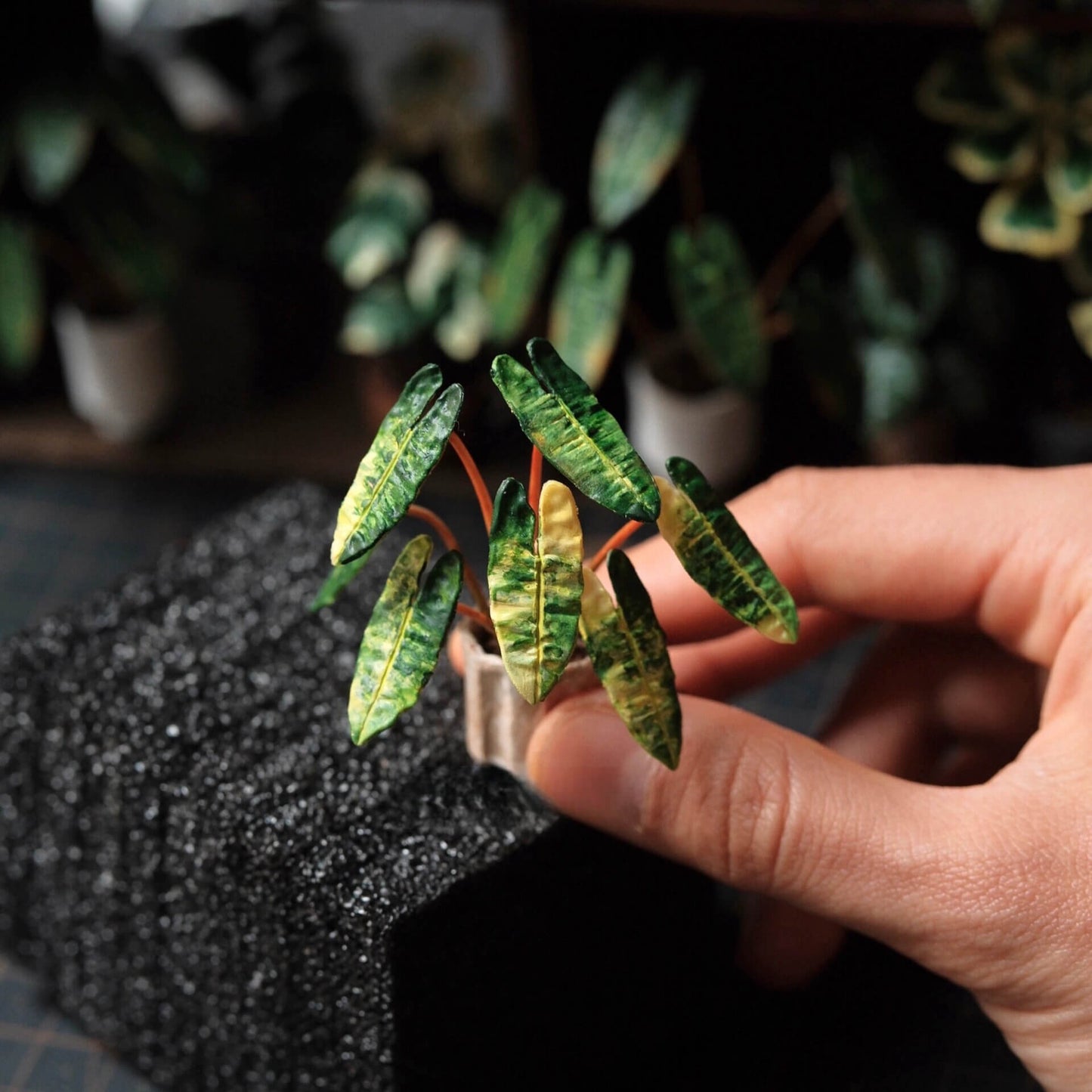 Philodendron Billietiae Variegated is a stunning variety of the popular tropical plant known for its vibrant, variegated leaves. Scale: 1:6; 1:12 Material: Handmade from Clay Height: 4-6cm≈1.58-2.36in