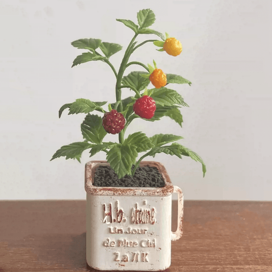 Rubus idaeus, commonly known as Tropical Raspberry, is a large shrub that can reach up to 5-10 feet tall. It is a deciduous plant and grows best in full sun but can tolerate semi-shade. Material: Handmade from Clay
