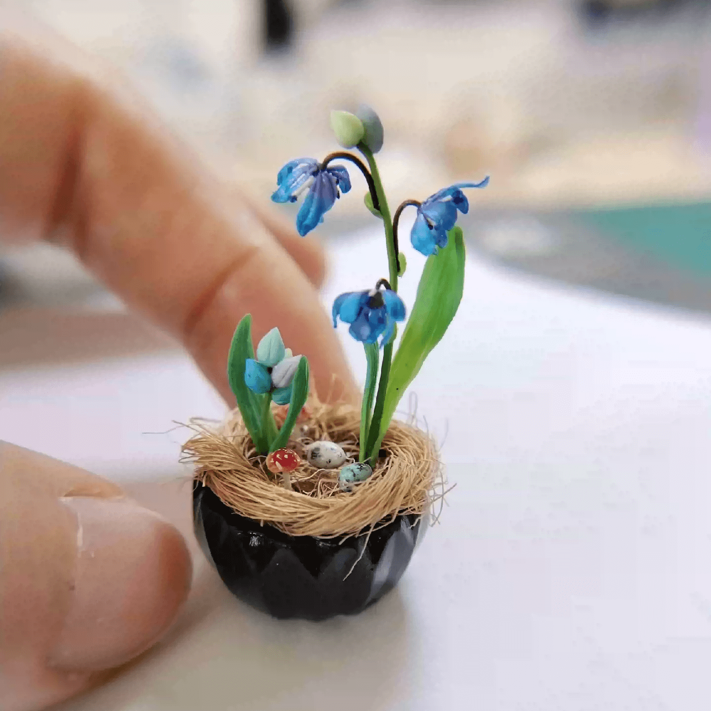 Siberian Squill (Scilla siberica) produces multiple flowers per stem, in the most beautiful deep blue color. Mushroom, Bird's eggs and Siberian Squill (Scilla siberica) in Gypsum pot. Material: Handmade from Clay