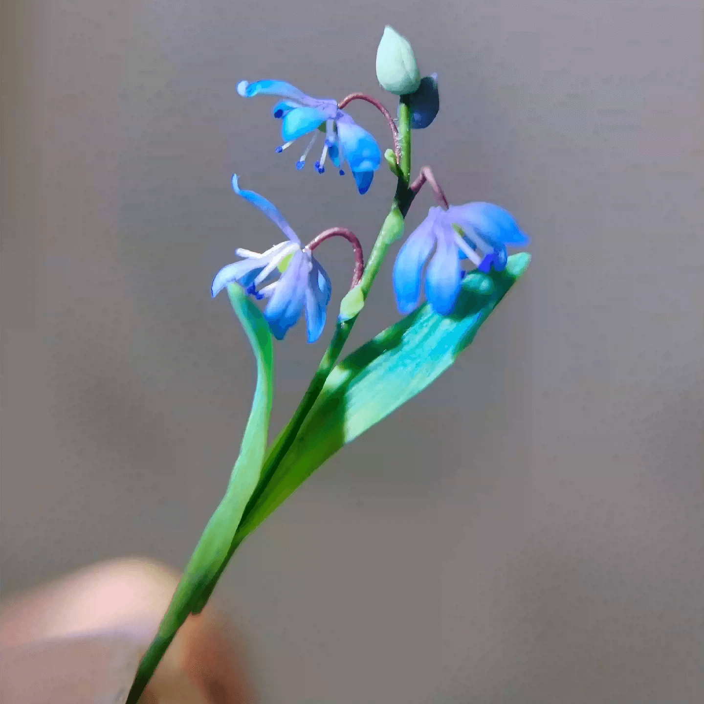 Siberian Squill (Scilla siberica) produces multiple flowers per stem, in the most beautiful deep blue color. Mushroom, Bird's eggs and Siberian Squill (Scilla siberica) in Gypsum pot.  Material: Handmade from Clay