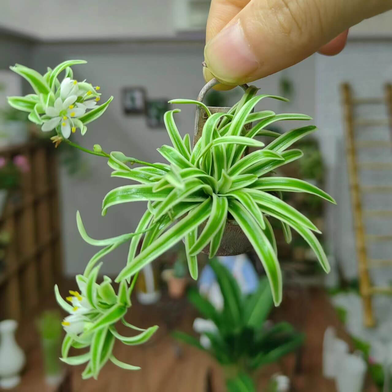 Miniature for dolls, dollhouses, roomboxes. Suitable for Blythe, Barbie, Paola and other dolls with a height of 25-40cm (10-15.8 inches). Common names: Spider Plant, Spider Ivy, Airplane Plant, Ribbon Plant Scientific Name: Chlorophytum Material: Handmade from Clay