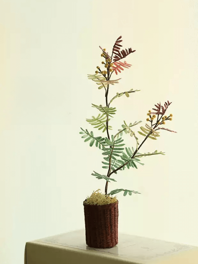 A beautiful smallish and fast growing evergreen tree much valued for its unique and marvelous silvery-blue purple tinged feathery leaves.  Dollhouse Garden Plants Handmade from Clay.