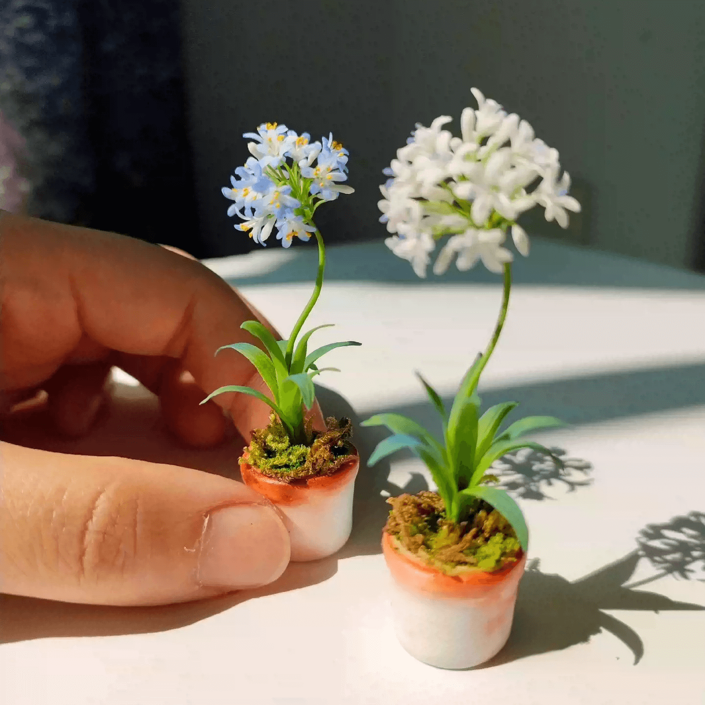 Agapanthus, also called Lily of the Nile or African Lily, are tough, heat and drought tolerant perennials.  Material: Handmade from Clay