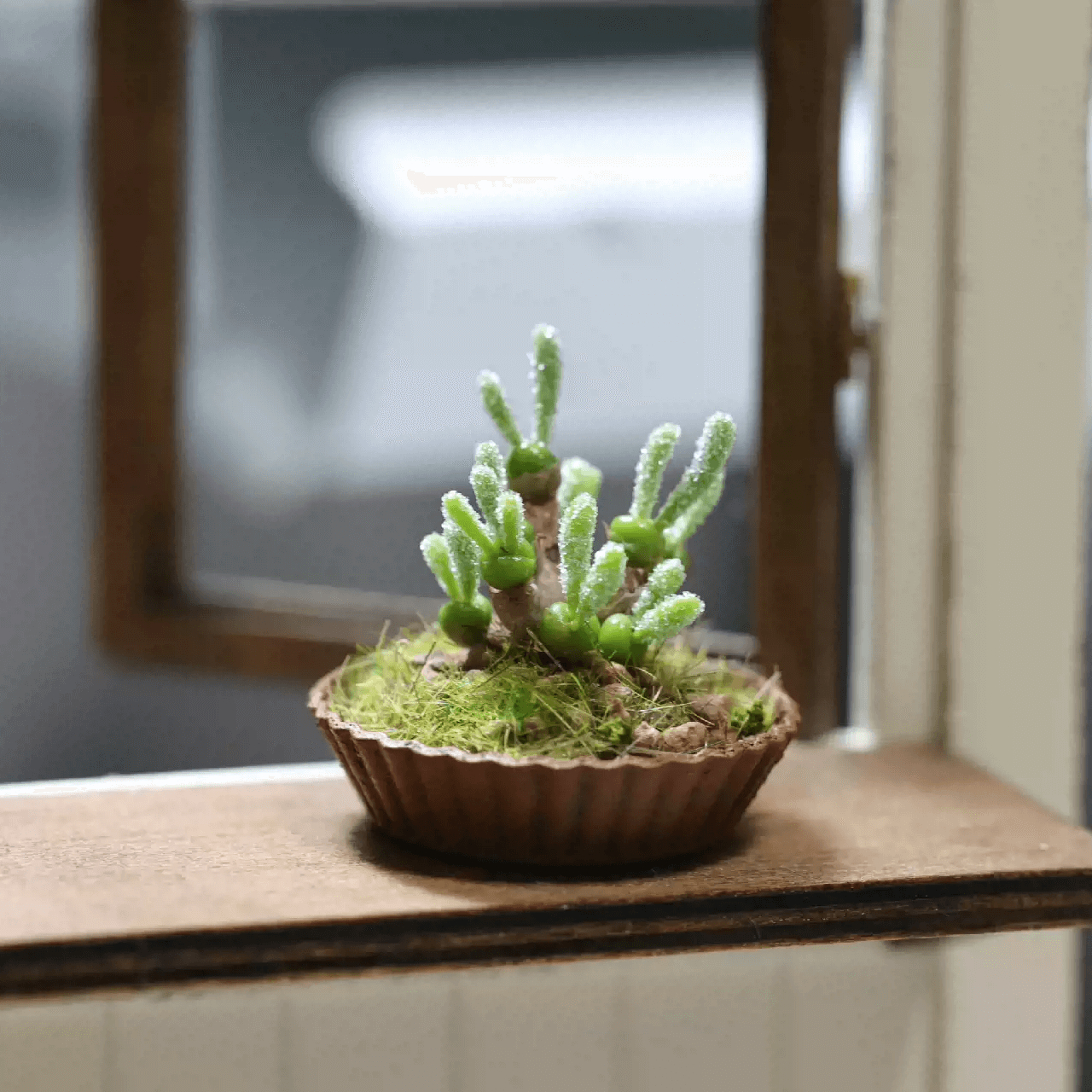 Monilaria Moniliforme as known as bunny succulents, it is a smallish clump-forming succulent plant that has both succulent leaves and stems. Material: Handmade from Clay