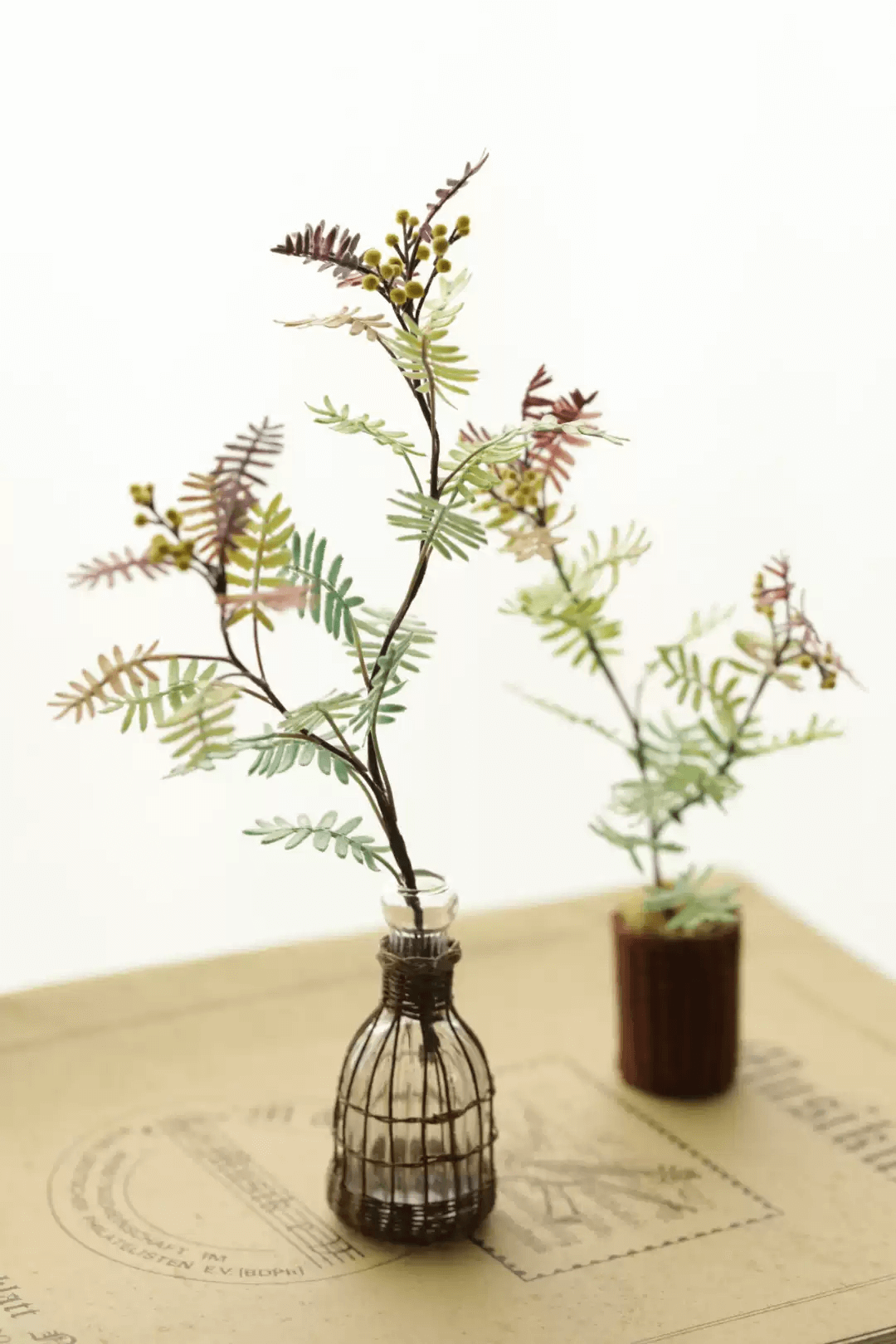 A beautiful smallish and fast growing evergreen tree much valued for its unique and marvelous silvery-blue purple tinged feathery leaves.  Dollhouse Garden Plants Handmade from Clay.