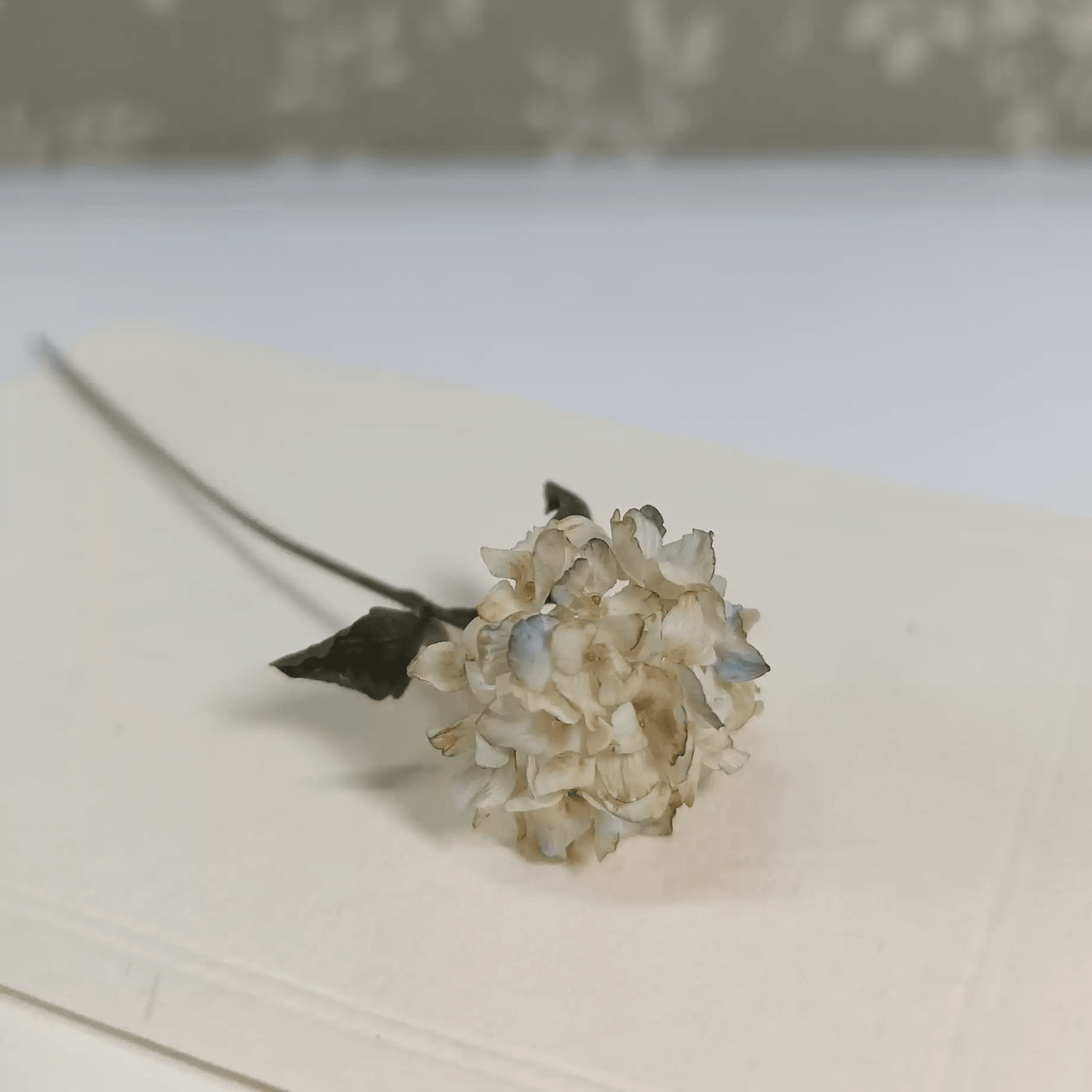 Hydrangeas are deciduous shrubs with flowers in terminal, round or umbrella-shaped clusters in colors of white, pink, or blue, or even purple. Scale: 1:6; 1:12 Material: Handmade from Clay Size: Standard; On picture frame.