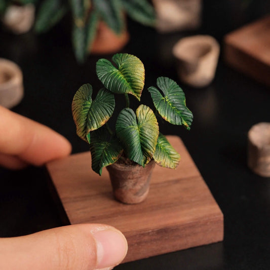 Philodendron McDowell is a terrestrial aroid cross between Philodendron Gloriosum and Philodendron Ecuadoriana.  Scale: 1:6; 1:12  Material: Handmade from Clay  Height: 4-6cm≈1.58-2.36in