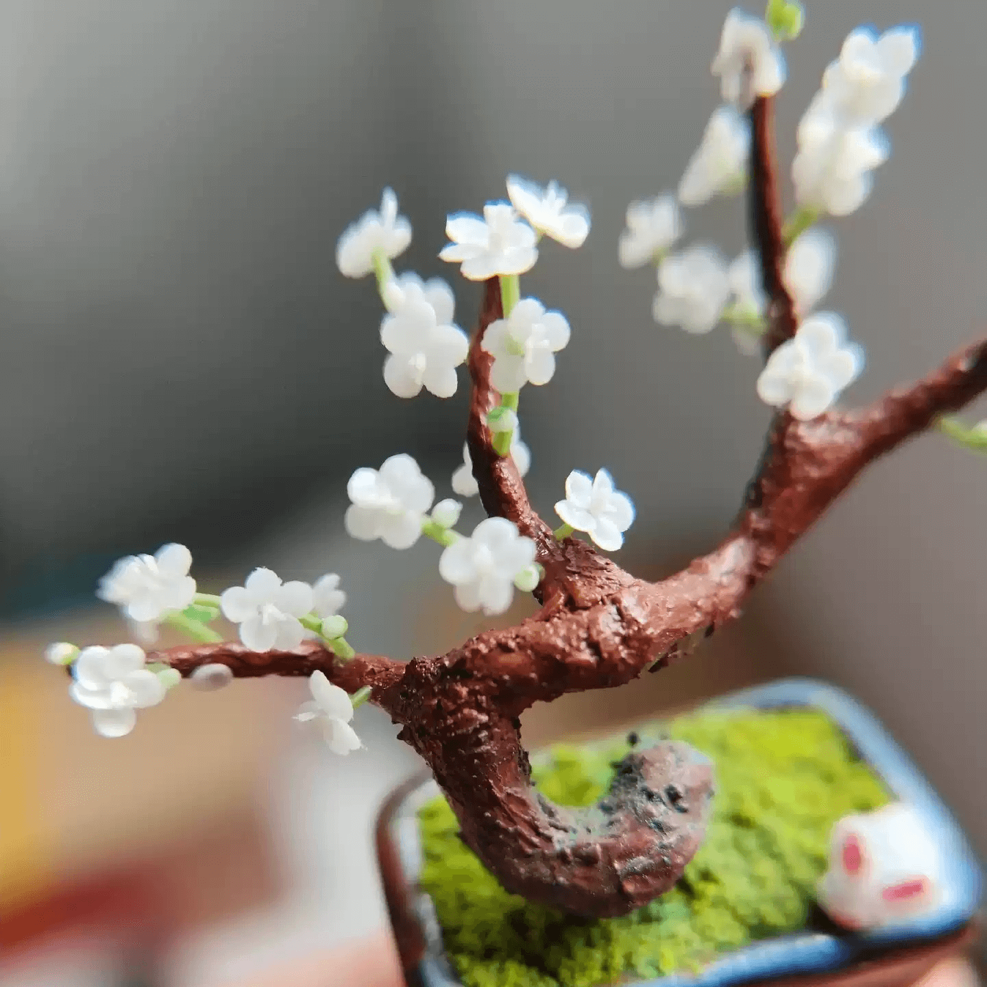 Prunus mume is an East Asian and Southeast Asian tree species classified in the "Armeniaca" section of the genus "Prunus" subgenus "Prunus". Material: Handmade from Clay