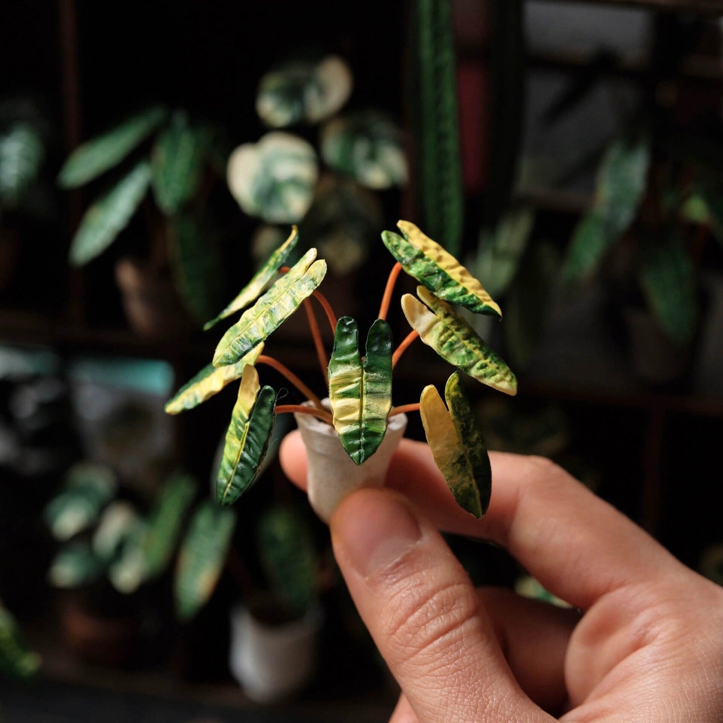 Philodendron Billietiae Variegated is a stunning variety of the popular tropical plant known for its vibrant, variegated leaves. Scale: 1:6; 1:12 Material: Handmade from Clay Height: 4-6cm≈1.58-2.36in