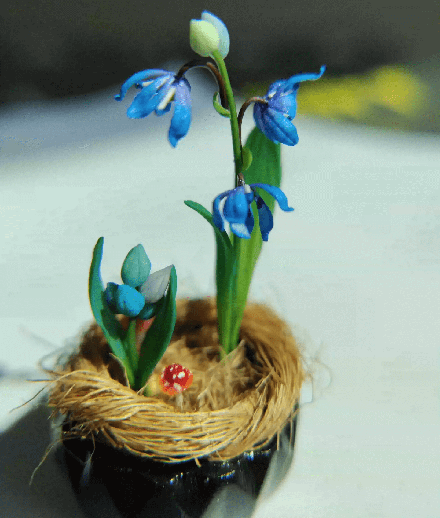 Siberian Squill (Scilla siberica) produces multiple flowers per stem, in the most beautiful deep blue color. Mushroom, Bird's eggs and Siberian Squill (Scilla siberica) in Gypsum pot. Material: Handmade from Clay