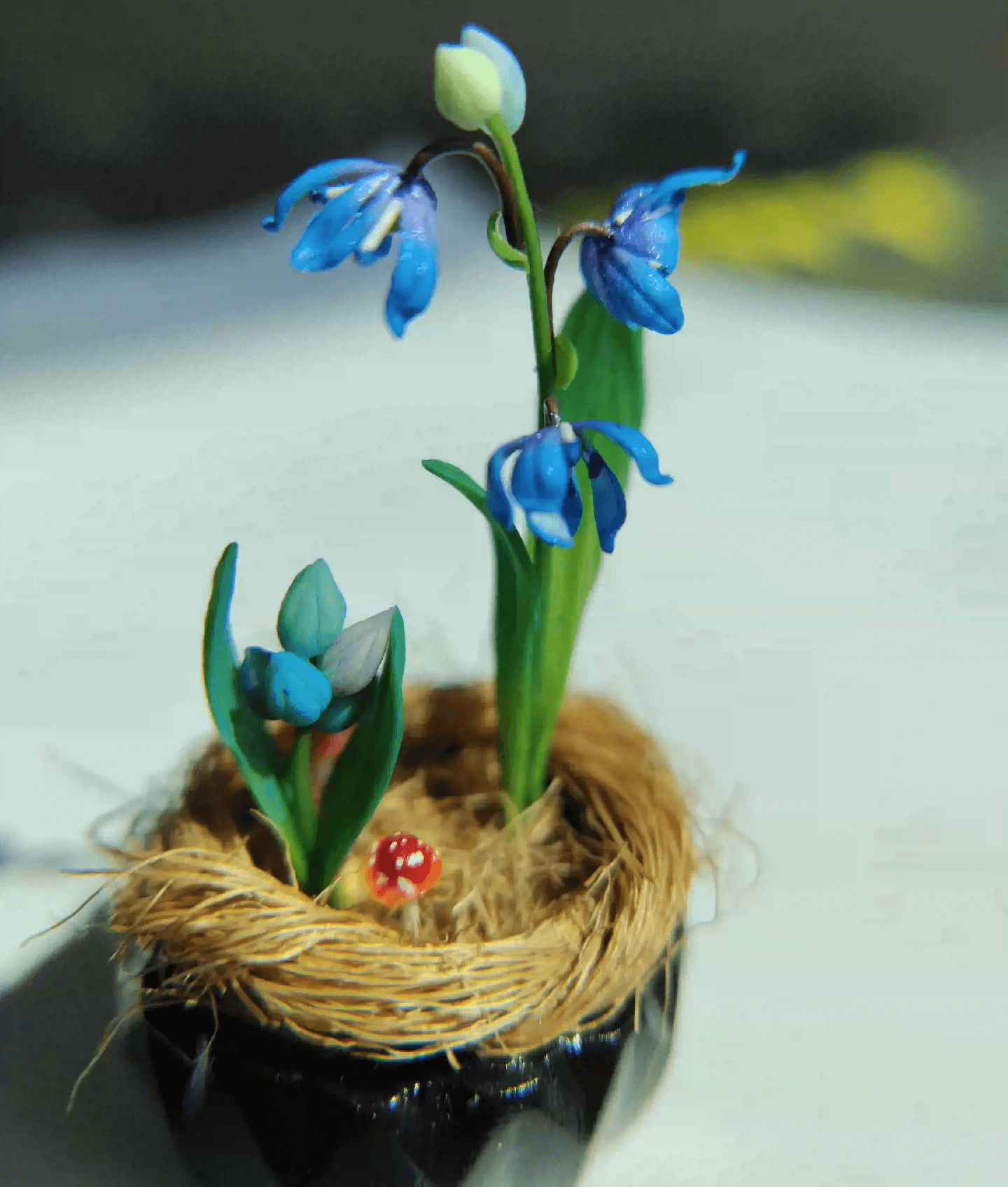 Siberian Squill (Scilla siberica) produces multiple flowers per stem, in the most beautiful deep blue color. Mushroom, Bird's eggs and Siberian Squill (Scilla siberica) in Gypsum pot.  Material: Handmade from Clay