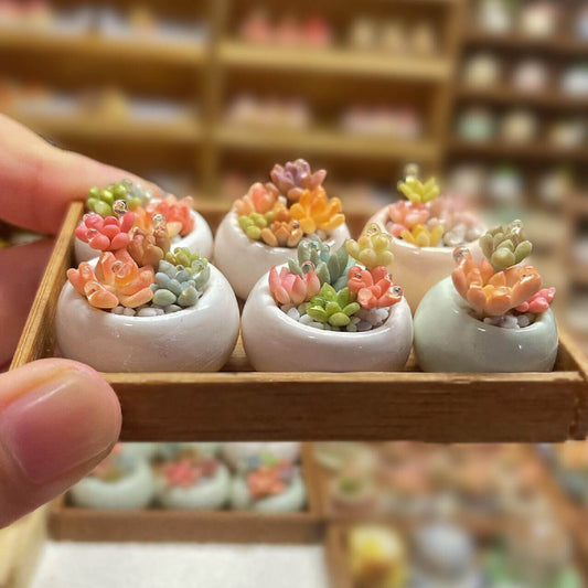 Succulents are a diverse group of plants. They are found in a wide range of shapes, sizes, and colors, making them popular choices for indoor and outdoor dollhouse gardens.  Material: Handmade from Clay  Scale: 1/12  Size: 6 Potted Succulents In The Wooden Box