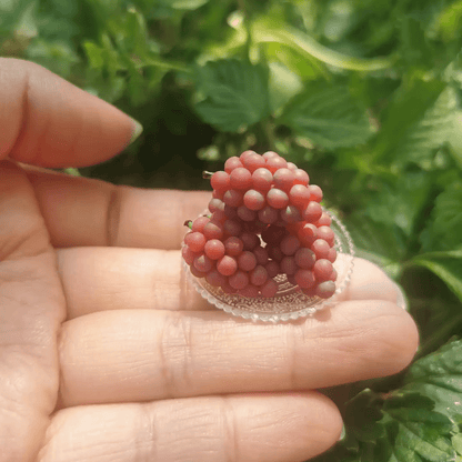This miniature fruit Grape would be a wonderful addition to any doll's house kitchen or dining room table. Miniature fruits for dollhouse. Miniature Grape handmade from clay. Miniature fruits in 1/6 and 1/8 scale can be used in doll kitchen, doll grocery store, doll food, collection, diorama decoration.