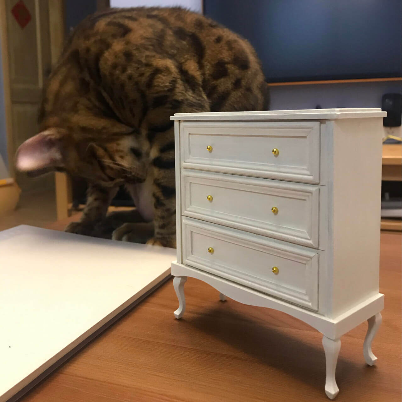 It boasts three spacious drawers, providing ample storage for your essentials. Supported by graceful cabriole legs, this dollhouse chest of drawers combines classic French design with functional elegance, making it a perfect addition to any dollhouse bedroom or living area seeking a touch of refined style and historical charm.