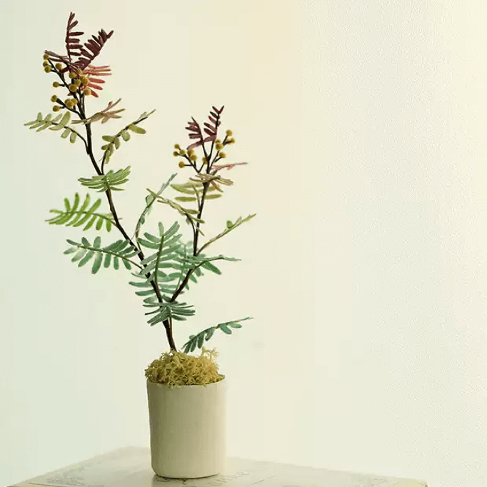 A beautiful smallish and fast growing evergreen tree much valued for its unique and marvelous silvery-blue purple tinged feathery leaves.  Dollhouse Garden Plants Handmade from Clay.