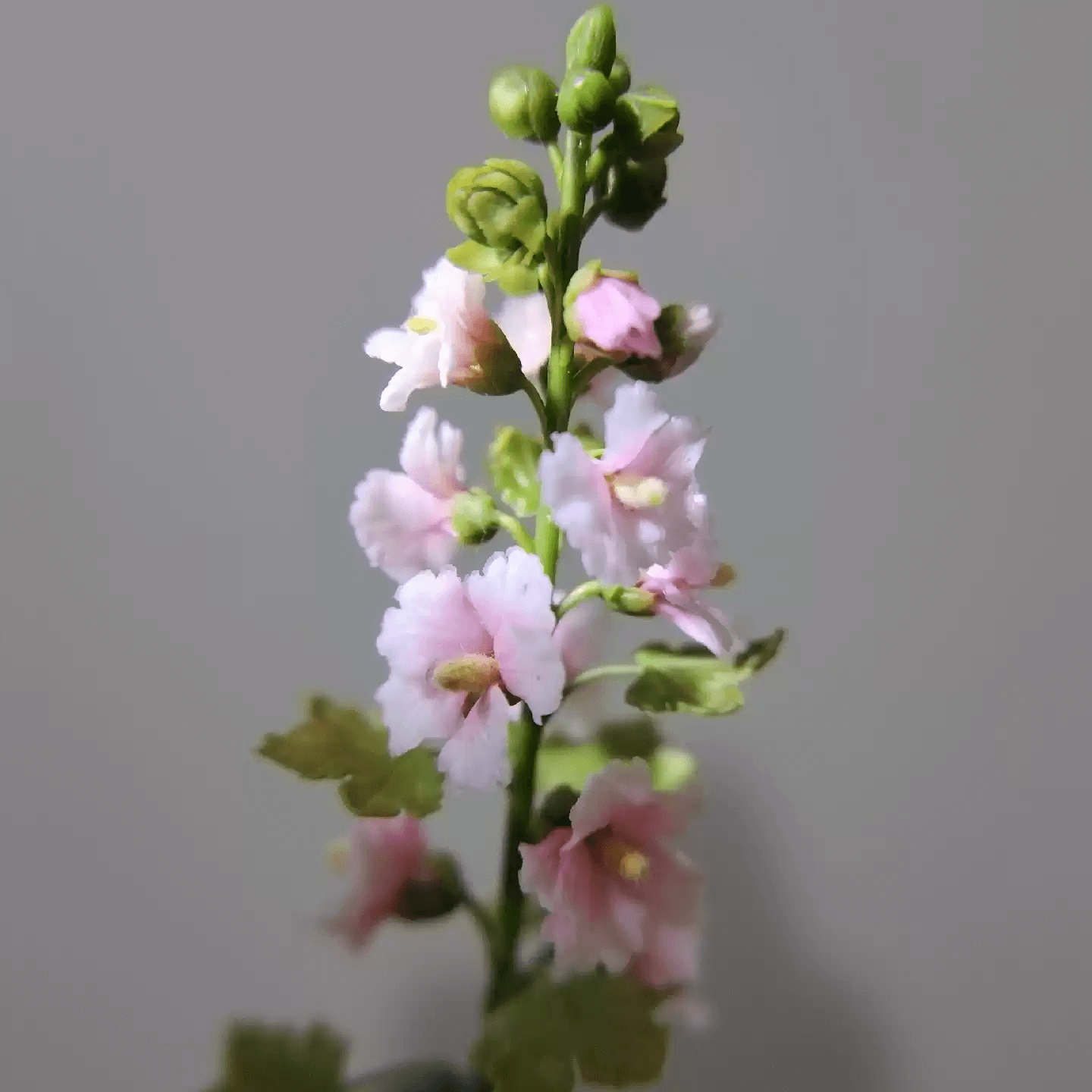 Miniature Alcea Rosea Hollyhocks in Pot Handmade Clay Plant