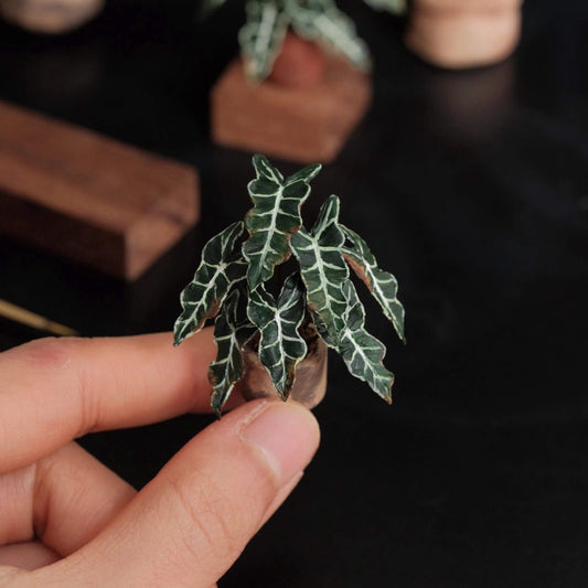 Alocasia Polly, also known as Alocasia Amazonica or African Mask plant, is a stunning tropical houseplant renowned for its unique foliage and striking appearance. Scale: 1:6; 1:12 Material: Handmade from Clay