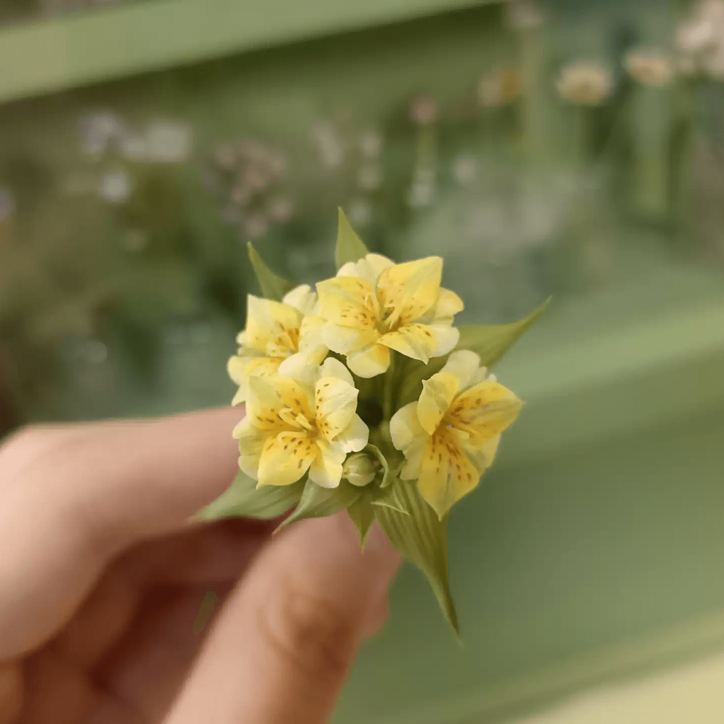 Alstroemeria, also commonly called the Peruvian Lily of the Incas, is the flower of happiness.  Scale: 1:6; 1:12  Material: Handmade from Clay  Size: 4 flowers + 1 bud  Color: White; Pink; Yellow