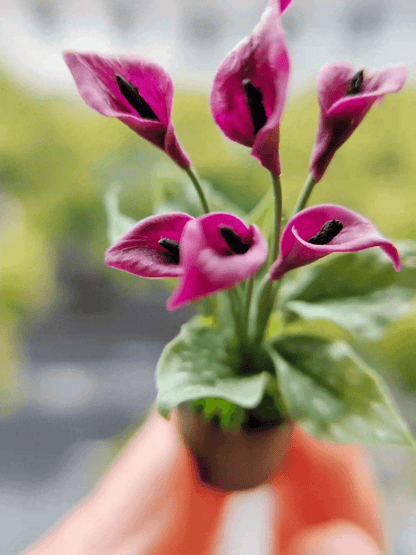 Everybody knows the zantedeschia, also called the 'calla lily.' Its magically beautiful flowers have been depicted in pictures and paintings for centuries.  Material: Handmade from Clay