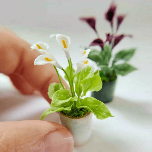 Everybody knows the zantedeschia, also called the 'calla lily.' Its magically beautiful flowers have been depicted in pictures and paintings for centuries.  Material: Handmade from Clay