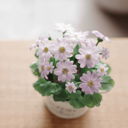 Pericallis × hybrida, known as cineraria, florist's cineraria or common ragwort is a flowering plant in the family Asteraceae. Miniature for dolls, dollhouses, roomboxes. Suitable for Blythe, Barbie, Paola,and other dolls with a height of 25-40cm (10-15.8 inches).
