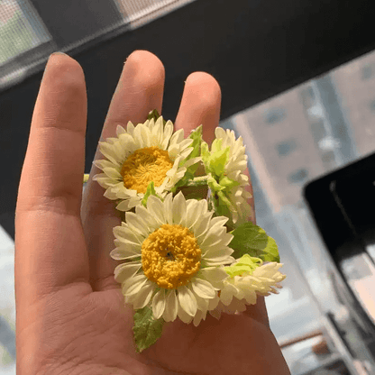 Helianthus annuus, also known as the common sunflower, is a very well-known annual that has a beautiful flower. Miniature for dolls, dollhouses, roomboxes. Suitable for Blythe, Barbie, Paola,and other dolls with a height of 25-40cm (10-15.8 inches). Scale: 1:6; 1:12 Material: Handmade from Clay