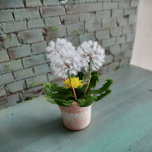 Dandelion is a short-lived perennial that will grow just about anywhere, regardless of soil conditions, but rich soil will improve its growth. They withstand frost and freezes and tolerate crowding. Heat and insufficient moisture will cause the leaves to get bitter, but it won’t kill the plant.  Material: Handmade from Clay