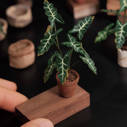 Alocasia Sarian features leathery, wavy-edged, arrowhead-shaped leaves that have a prominent main veins and long, thick, striped petioles. Scale: 1:6; 1:12 Material: Handmade from Clay