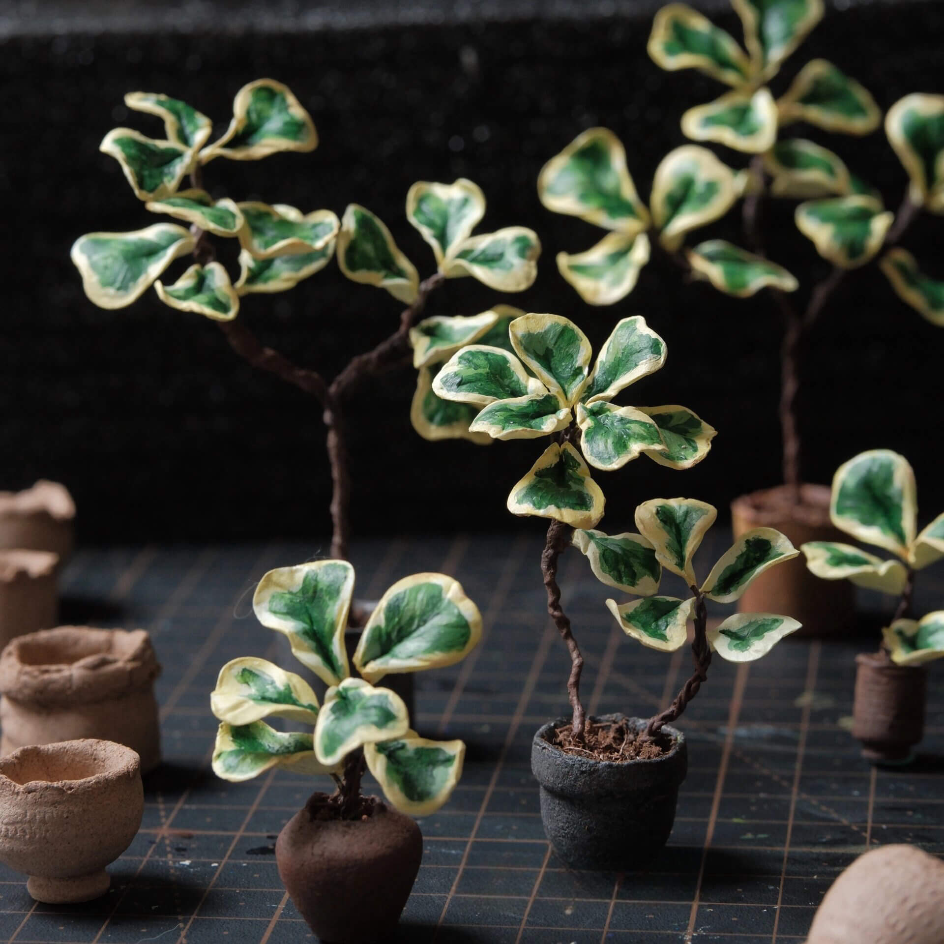 The Fiddle Leaf Fig (Ficus Lyrata Variegated) has been a houseplant favourite for a decade or more. The variegated fiddle takes it next level.  Material: Handmade from Clay