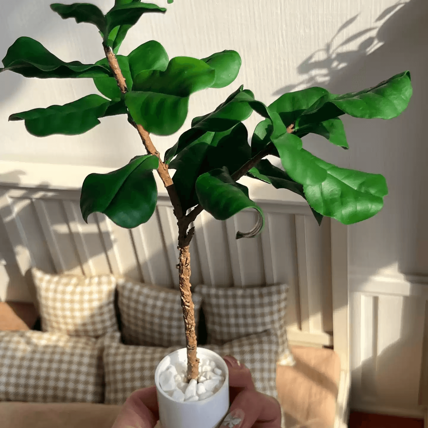 Also known as the Fiddle-Leaf Fig, the Ficus Lyrata/Pandurata is a tall growing fig tree with very large, broad, green leaves. Miniature for dolls, dollhouses, roomboxes. Suitable for Blythe, Barbie, Paola,and other dolls with a height of 25-40cm (10-15.8 inches). Scale: 1:6; 1:12 Material: Handmade from Clay