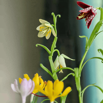 Fritillarias flower from mid to late spring and are perennial.  Crocus is a wonderful bulb to plant underneath trees or in a landscape bed.  Fritillaria thunbergii, Fritillaria meleagris, Crocus sativus and bird's eggs in clay planter.  Material: Handmade from Clay