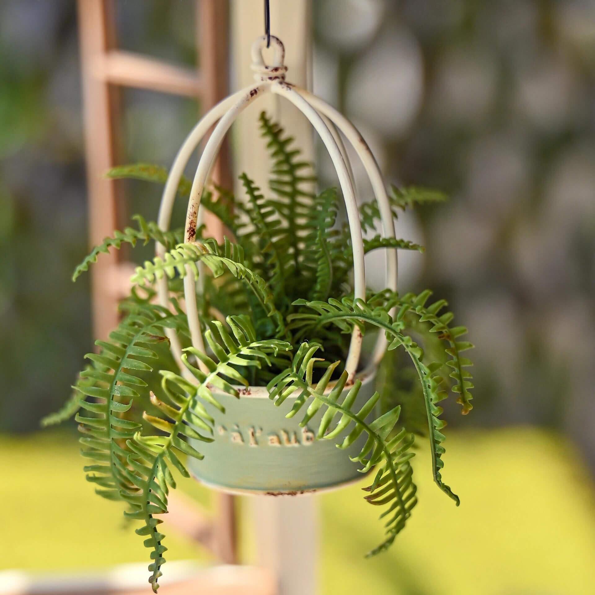 Miniature for dolls, dollhouses, roomboxes. Suitable for Blythe, Barbie, Paola and other dolls with a height of 25-40cm (10-15.8 inches).  Common names: Giant Sword Fern  Scientific Name: Nephrolepis biserrata  Material: Handmade from Clay