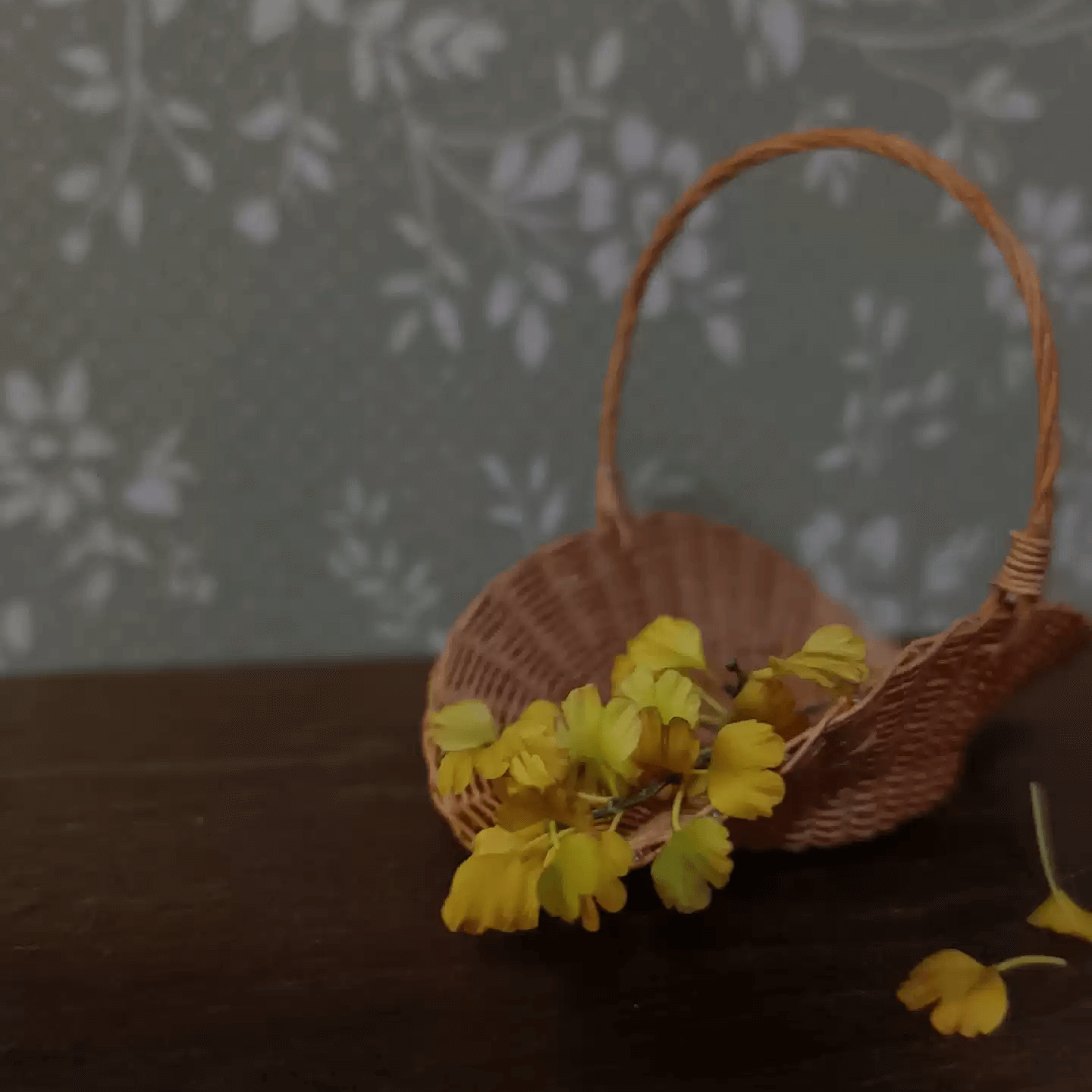Ginkgo biloba, commonly known as ginkgo or gingko also known as the maidenhair tree, is a species of gymnosperm tree native to East Asia.  Scale: 1:6; 1:12  Material: Handmade from Clay