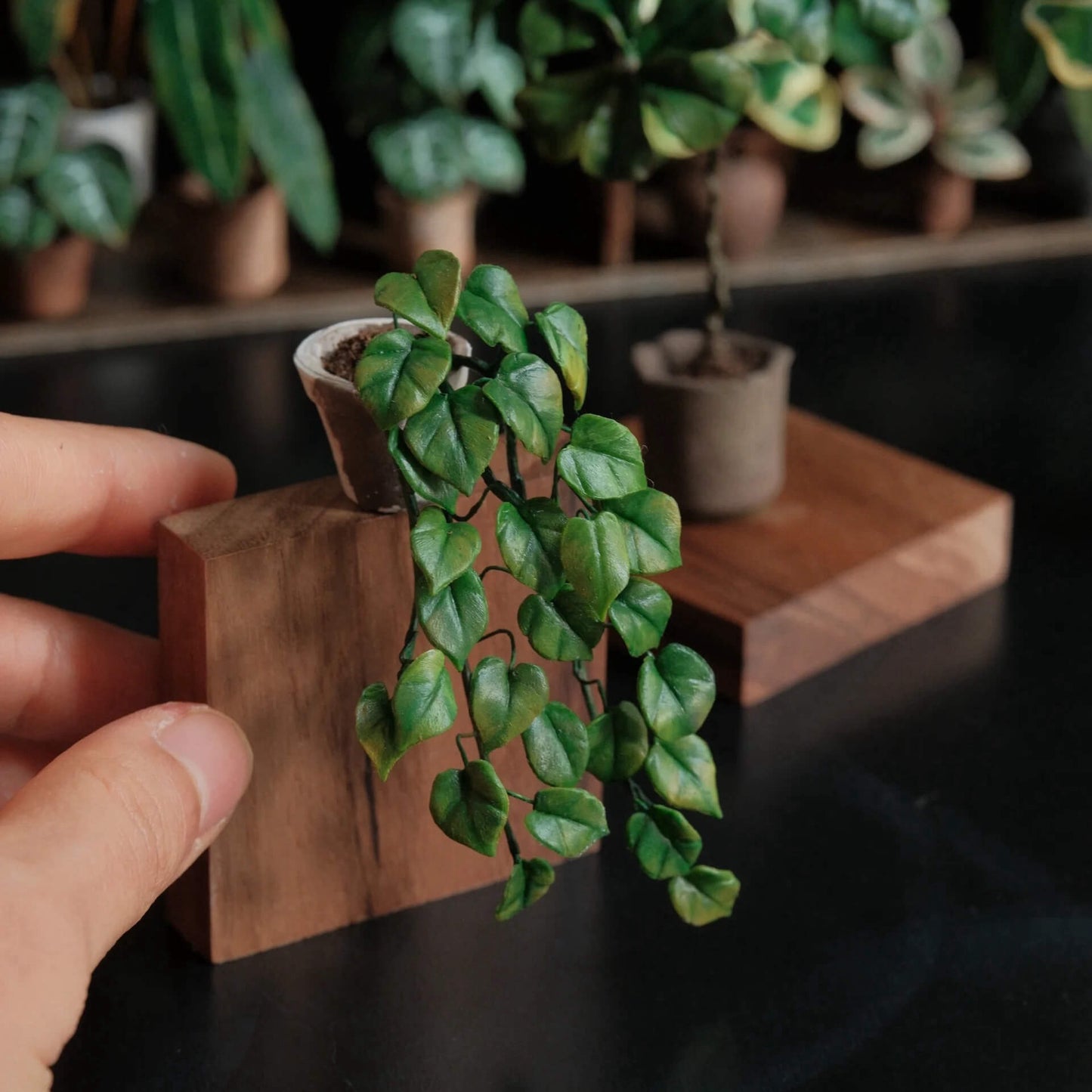 You'd be hard pressed to find anyone who doesn't recognize this plant. This is Epipremnum aureum, the widely popular and commonly kept Green Pothos. For many people this was their gateway plant into plant parenthood.  Scale: 1:6; 1:12  Material: Handmade from Clay  Height: About 8cm≈3.15in