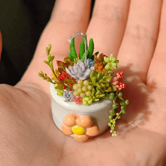 Succulents are a diverse group of plants known for their ability to store water in their leaves, stems, and roots. They are found in a wide range of shapes, sizes, and colors, making them popular choices for indoor and outdoor gardens. Material: Handmade from Clay