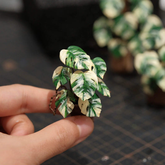 Monstera deliciosa Albo Borsigiana is one of the most highly sought after houseplants due to its beautiful variegated leaves.  Scale: 1:6; 1:12  Material: Handmade from Clay  Size: 5-10 Leaves