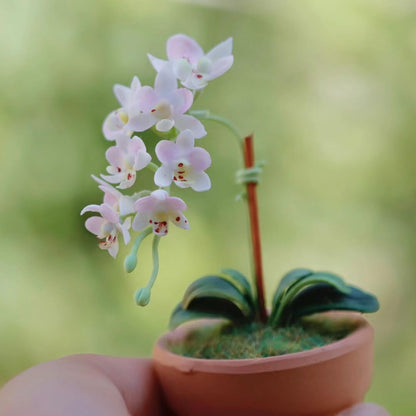 Dollhouse Miniature Phalaenopsis Orchid Handmade Clay Flowering Plant in Pot is a unique design that incorporates the beauty, style, and grace of a real Phalaenopsis orchid&nbsp;with its own, original and miniature twist!