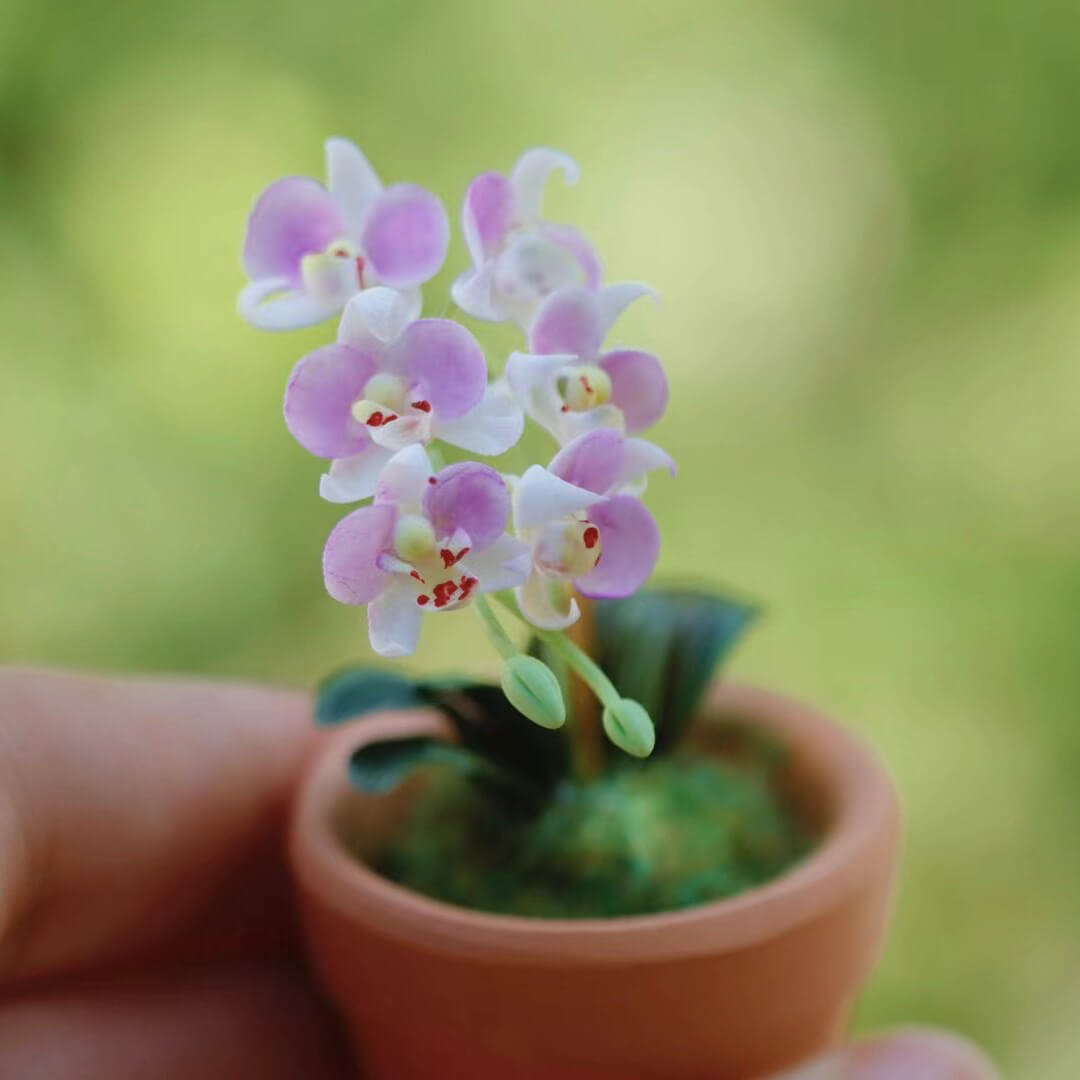 Dollhouse Miniature Phalaenopsis Orchid Handmade Clay Flowering Plant in Pot is a unique design that incorporates the beauty, style, and grace of a real Phalaenopsis orchid&nbsp;with its own, original and miniature twist!