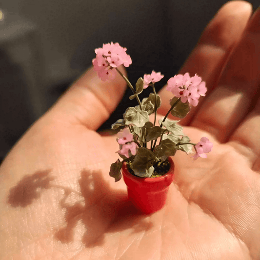 Pelargonium (aka common geraniums) are colorful summer-flowering plants that are popular for hanging baskets, pots, and also garden beds.  Material: Handmade from Clay