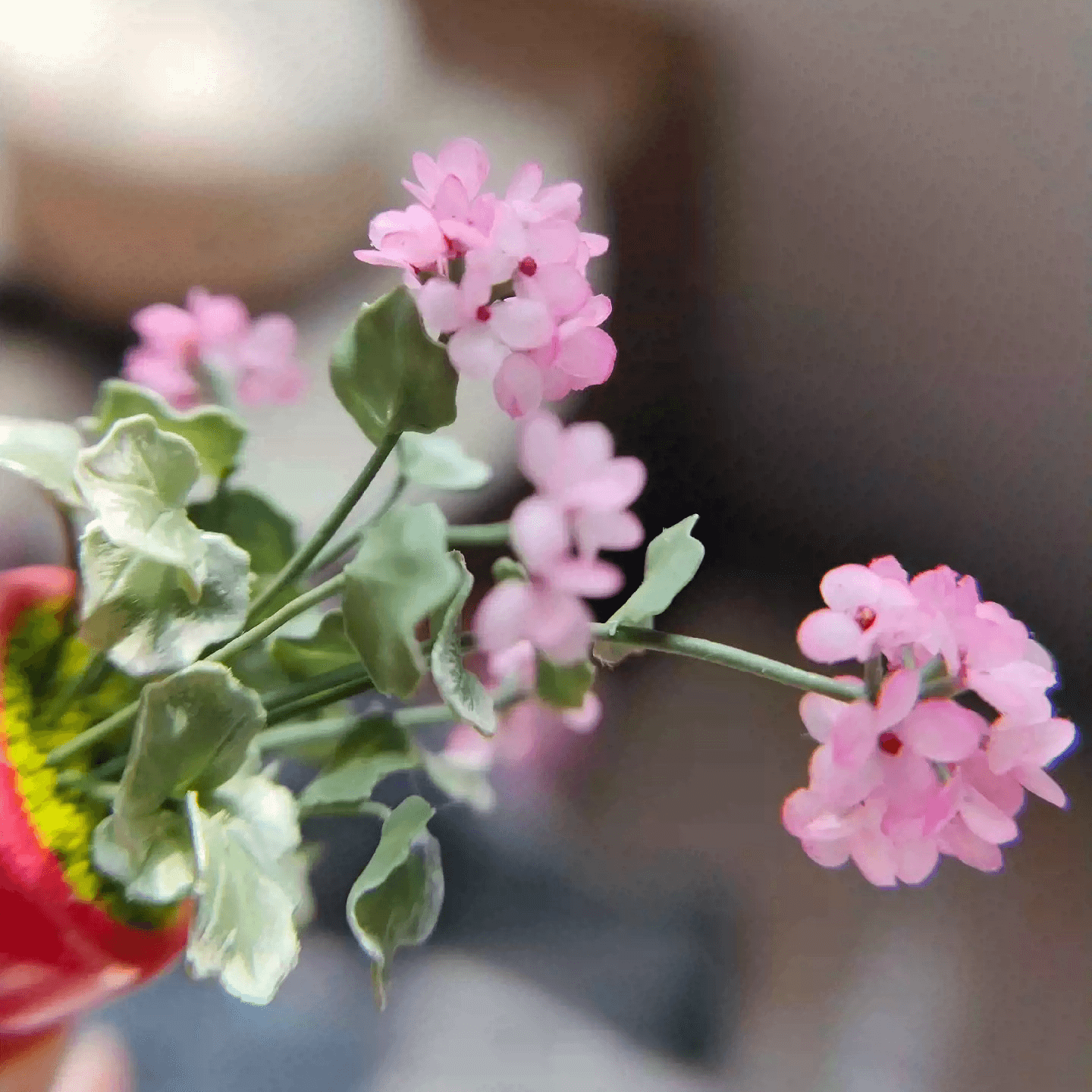 Pelargonium (aka common geraniums) are colorful summer-flowering plants that are popular for hanging baskets, pots, and also garden beds.  Material: Handmade from Clay