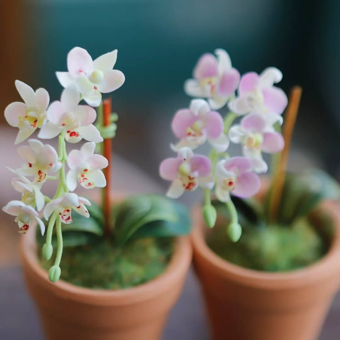 Dollhouse Miniature Phalaenopsis Orchid Handmade Clay Flowering Plant in Pot is a unique design that incorporates the beauty, style, and grace of a real Phalaenopsis orchid&nbsp;with its own, original and miniature twist!