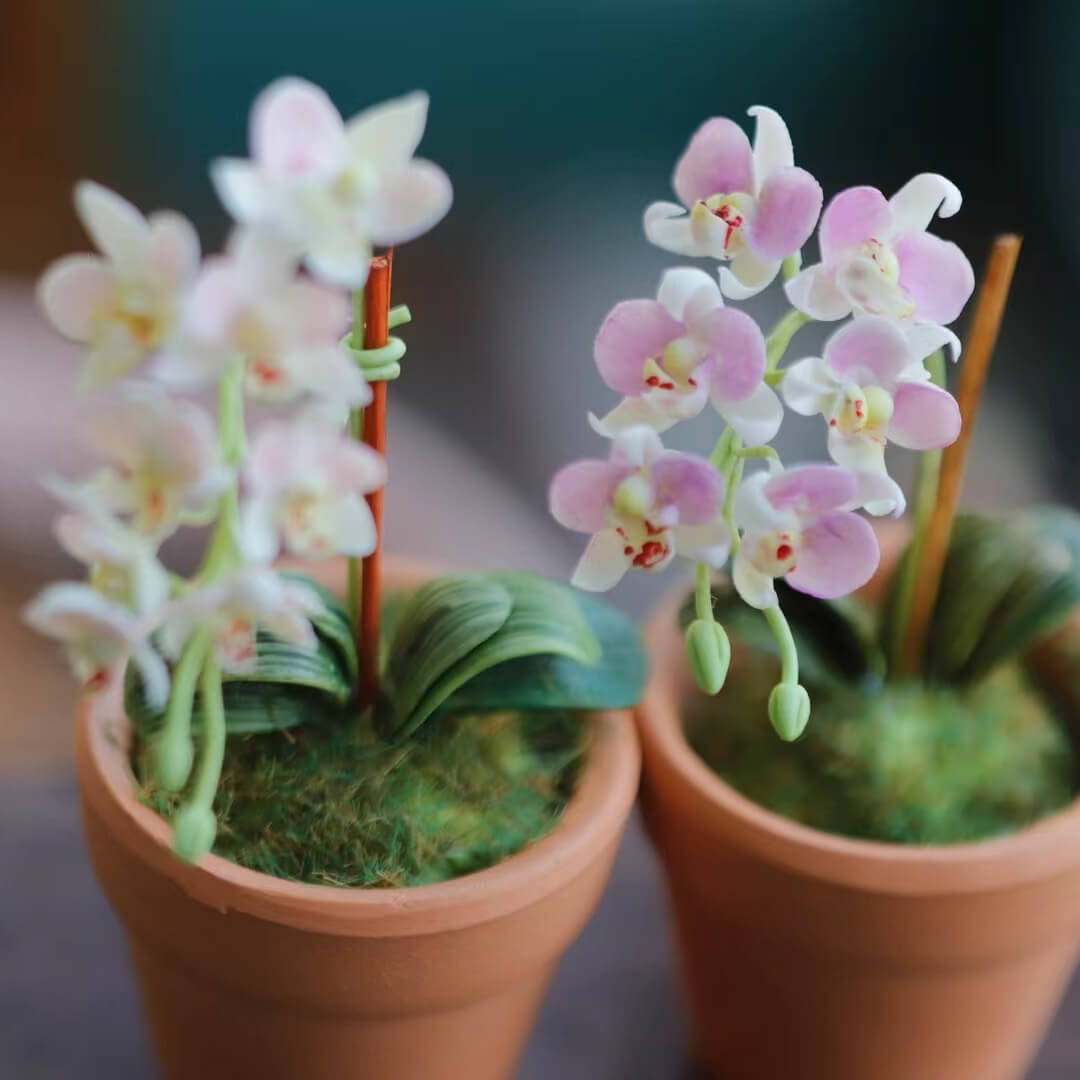 Dollhouse Miniature Phalaenopsis Orchid Handmade Clay Flowering Plant in Pot is a unique design that incorporates the beauty, style, and grace of a real Phalaenopsis orchid&nbsp;with its own, original and miniature twist!