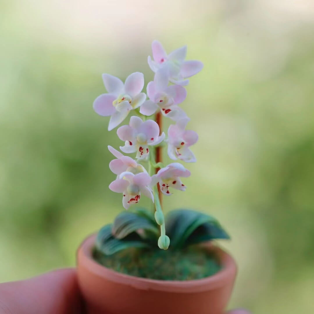 Dollhouse Miniature Phalaenopsis Orchid Handmade Clay Flowering Plant in Pot is a unique design that incorporates the beauty, style, and grace of a real Phalaenopsis orchid&nbsp;with its own, original and miniature twist!