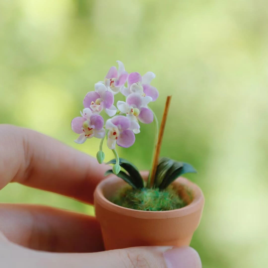 Dollhouse Miniature Phalaenopsis Orchid Handmade Clay Flowering Plant in Pot is a unique design that incorporates the beauty, style, and grace of a real Phalaenopsis orchid&nbsp;with its own, original and miniature twist!