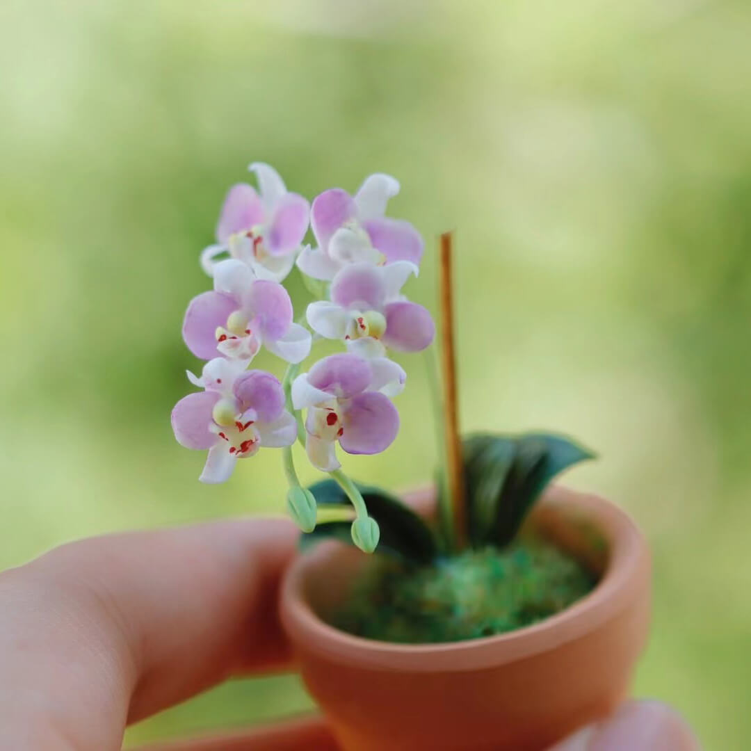 Dollhouse Miniature Phalaenopsis Orchid Handmade Clay Flowering Plant in Pot is a unique design that incorporates the beauty, style, and grace of a real Phalaenopsis orchid&nbsp;with its own, original and miniature twist!