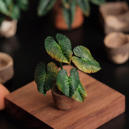 Philodendron McDowell is a terrestrial aroid cross between Philodendron Gloriosum and Philodendron Ecuadoriana.  Scale: 1:6; 1:12  Material: Handmade from Clay  Height: 4-6cm≈1.58-2.36in