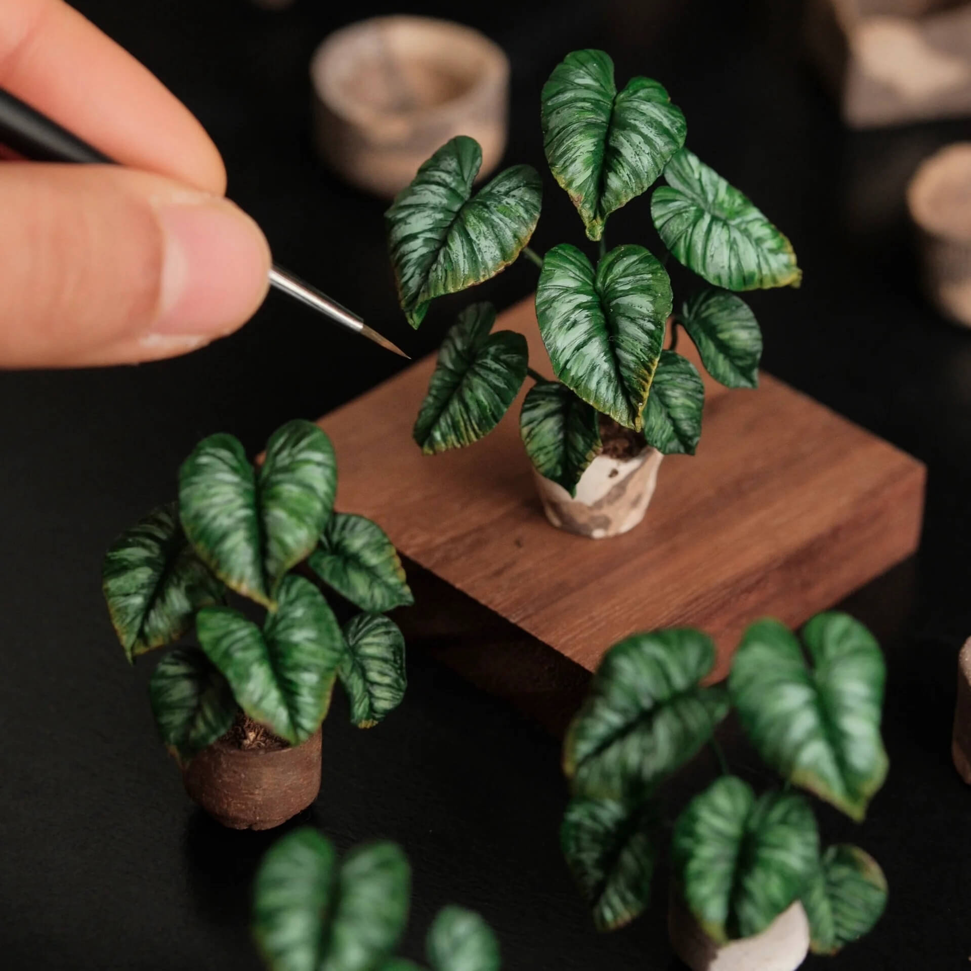 Philodendron Pastazanum Silver is a rare and beautiful terrestrial Aroid which features bi-color heart shaped leaves with green cylindrical petioles. Scale: 1:6; 1:12  Material: Handmade from Clay  Size: 5-8 Leaves